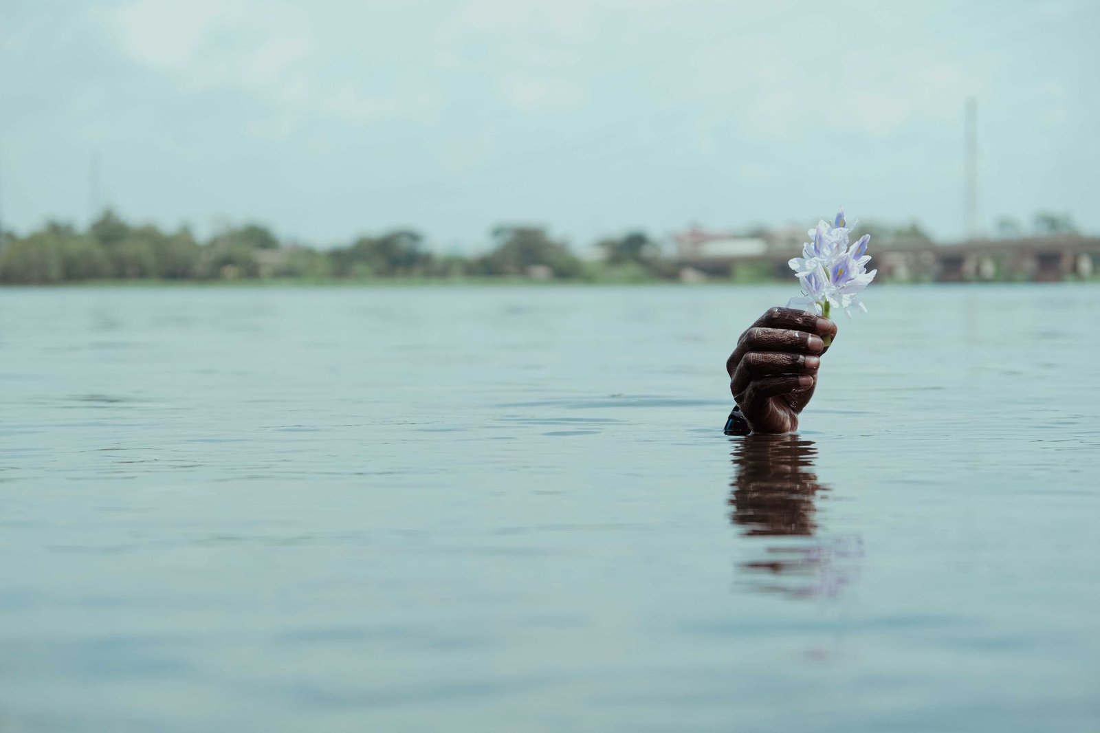 A hand emerges from the water holding a flower in Volta Region, Ghana.