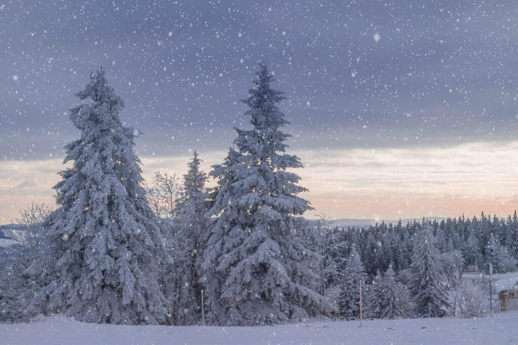 winter landscape, trees, frost, snow, frozen, wintry, cold, icy, mood, winter magic, landscape, forest, nature, black forest