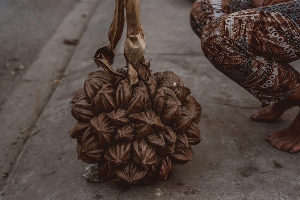 nypa, vietnam, woman, market, seller, asia, fruit, nut, fruticans, street, city, nypa, nypa, nypa, nypa, nypa
