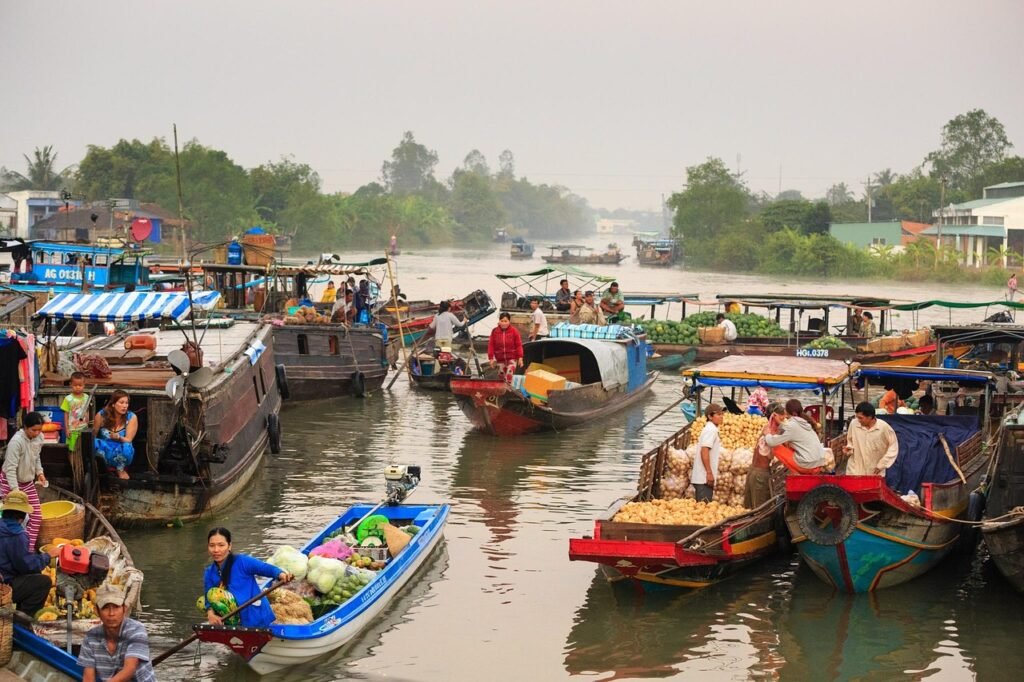 floating market, on the river, culture, traditional, the mekong delta, river, buy sale, work, crowded, bustle, vietnam, women